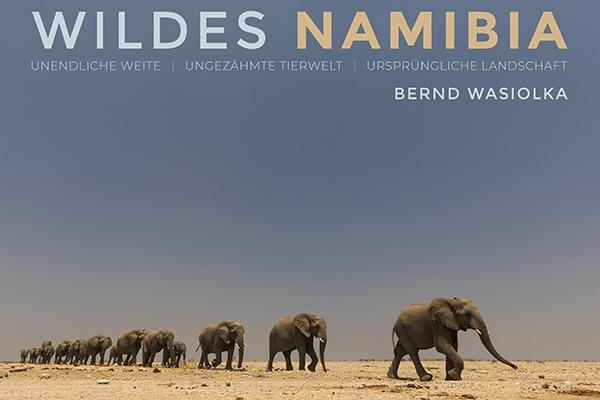 Book Kalahari Dreaming Wildlife Photography