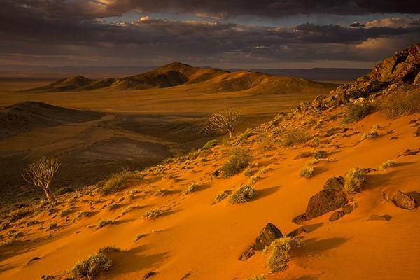 Sand rocks Namib desert