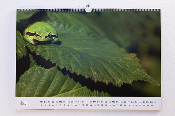 Ruhrpott Kalender 2026 Juli 600x400