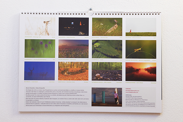 Cover Wilder Ruhrpott 600x460