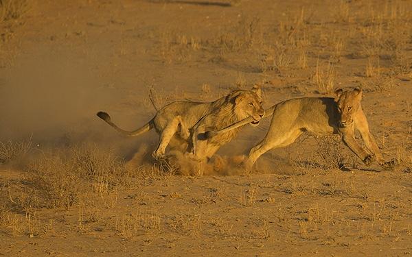 Having Fun Bernd Wasiolka
