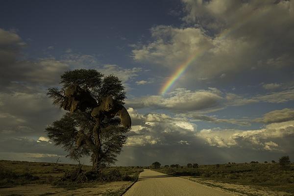 Rainbow Bernd Wasiolka