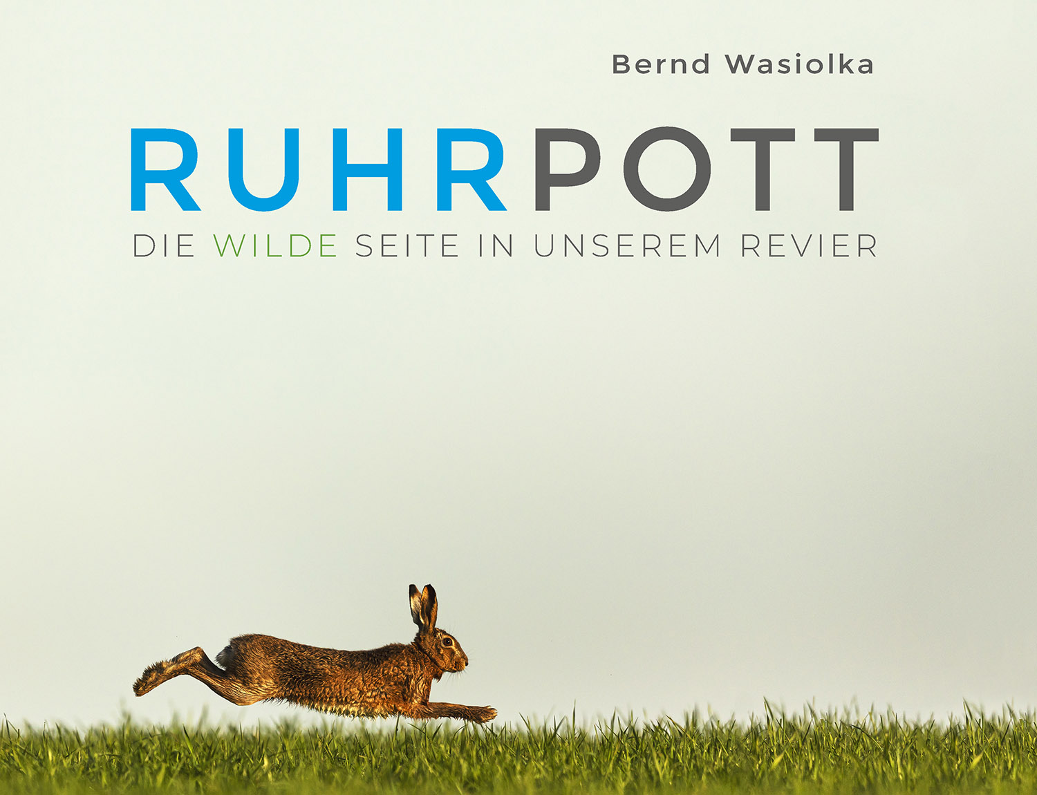 Bildband Wilder Ruhrpott