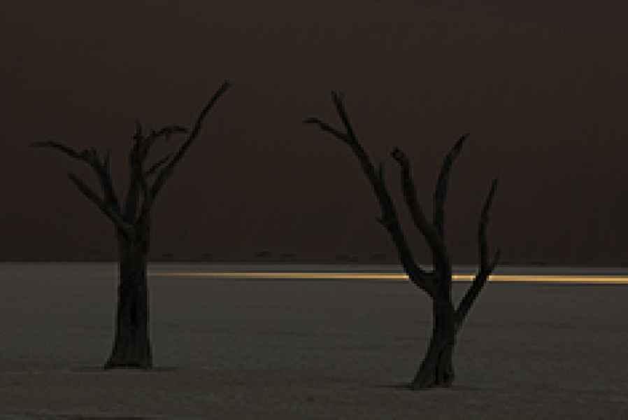 Dead Vlei shadow tree