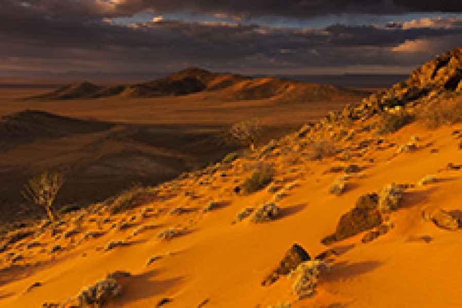 Namib rock