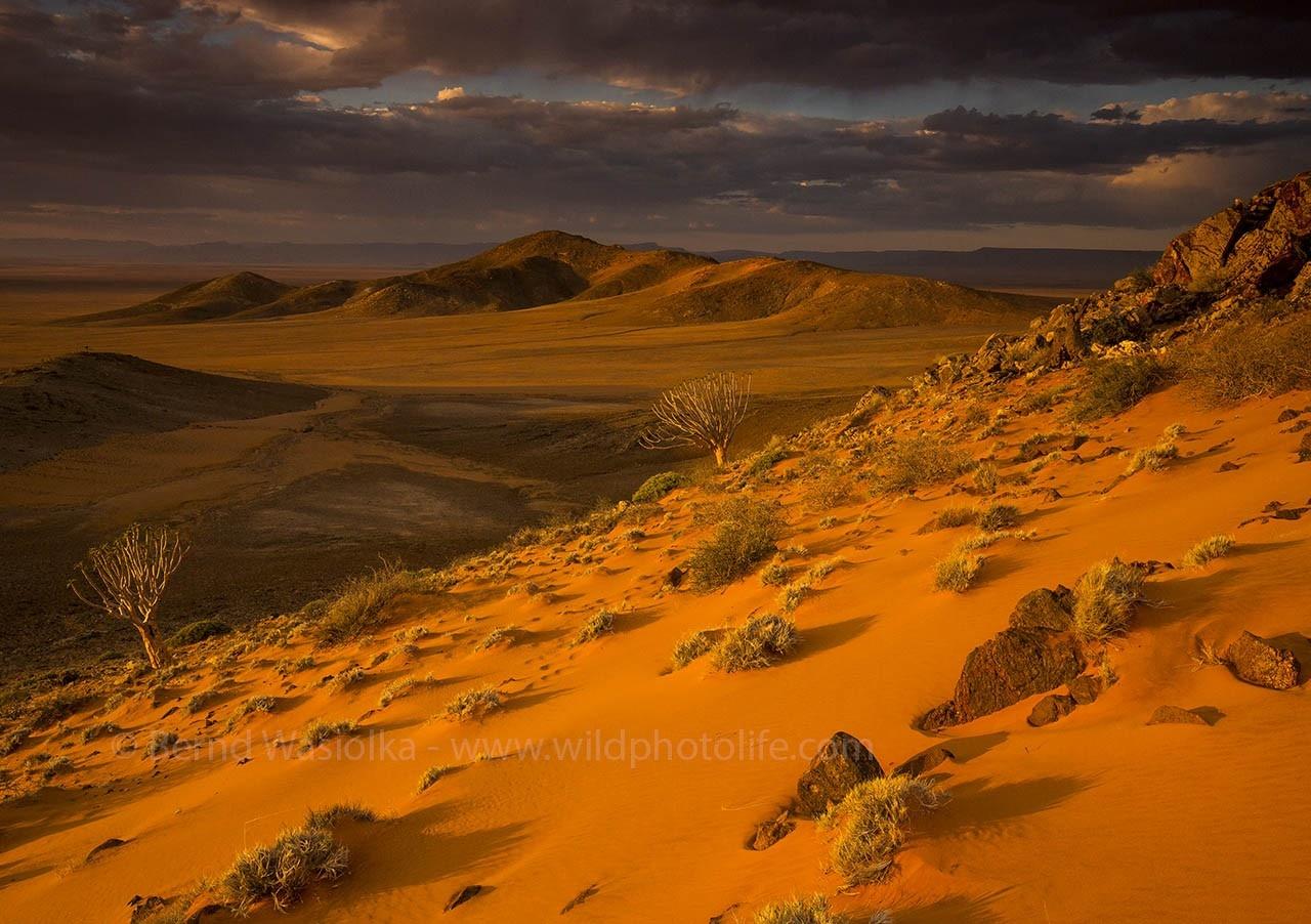 Rocks and sand in the Namib desert
