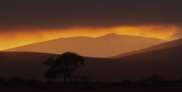 misty-sossusvlei-cbernd-wasiolka-wildphotolif_20170529-092223_1