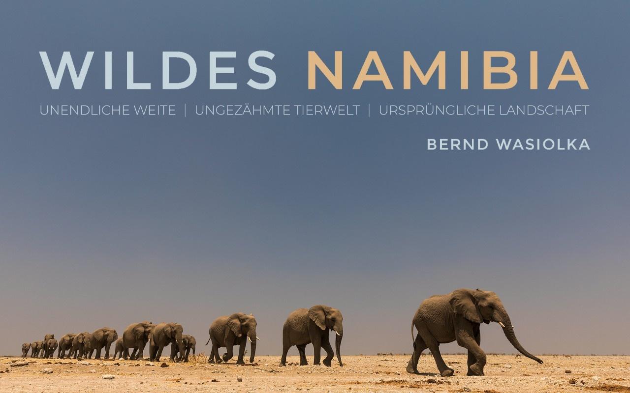 Multivisions Show WILDES NAMIBIA 2019