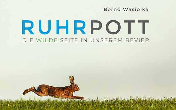 Cover Wilder Ruhrpottt Homepage